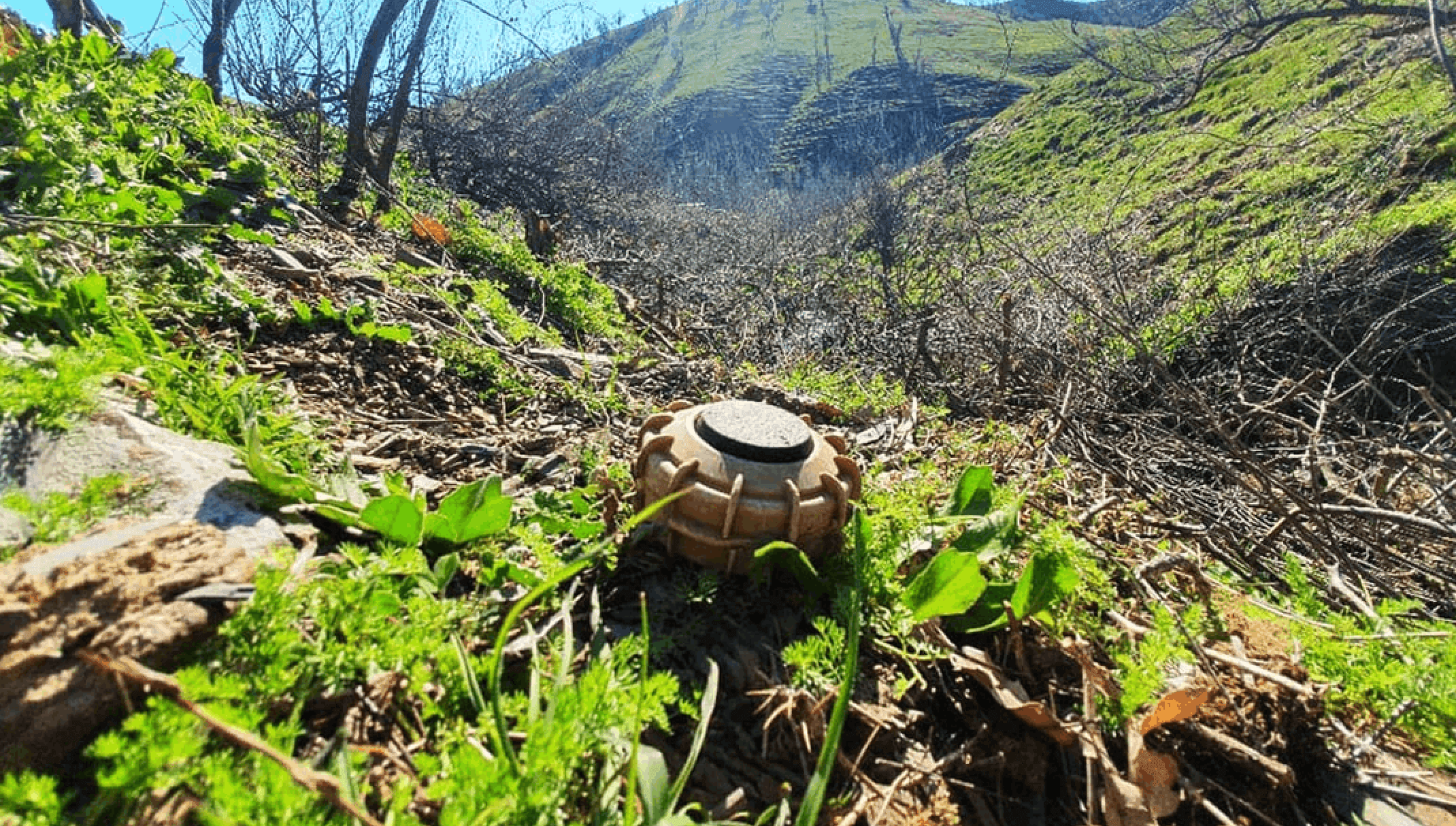 Clearing the Ground for Lasting Peace