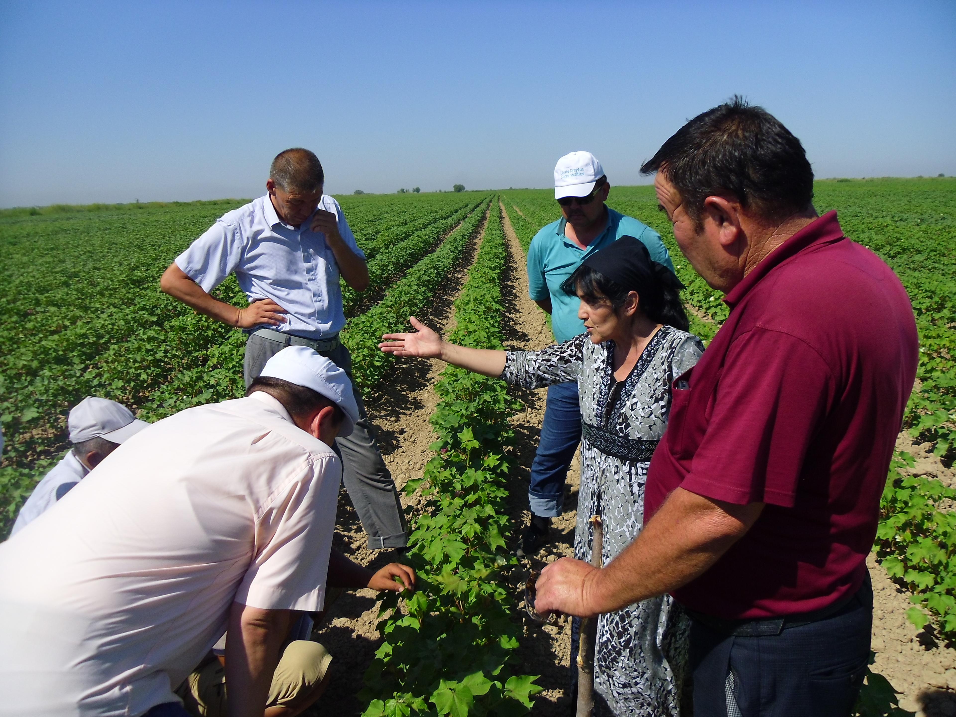Special Report: The Computer and the Farmer: The Role of Information Technology in Boosting Agricultural Productivity in Kazakhstan