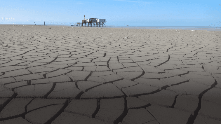 Merging the Ecological and Trade Challenges of the Caspian